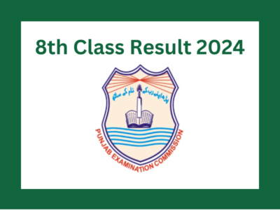 8th Class Result 2024