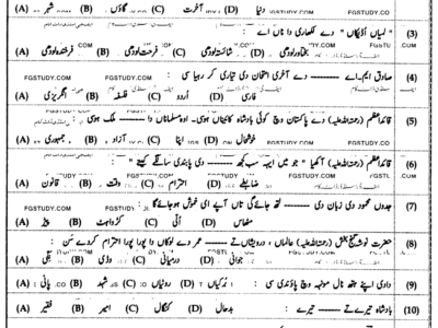 9th-class-punjabi-past-paper-2023-bahawalpur-obj